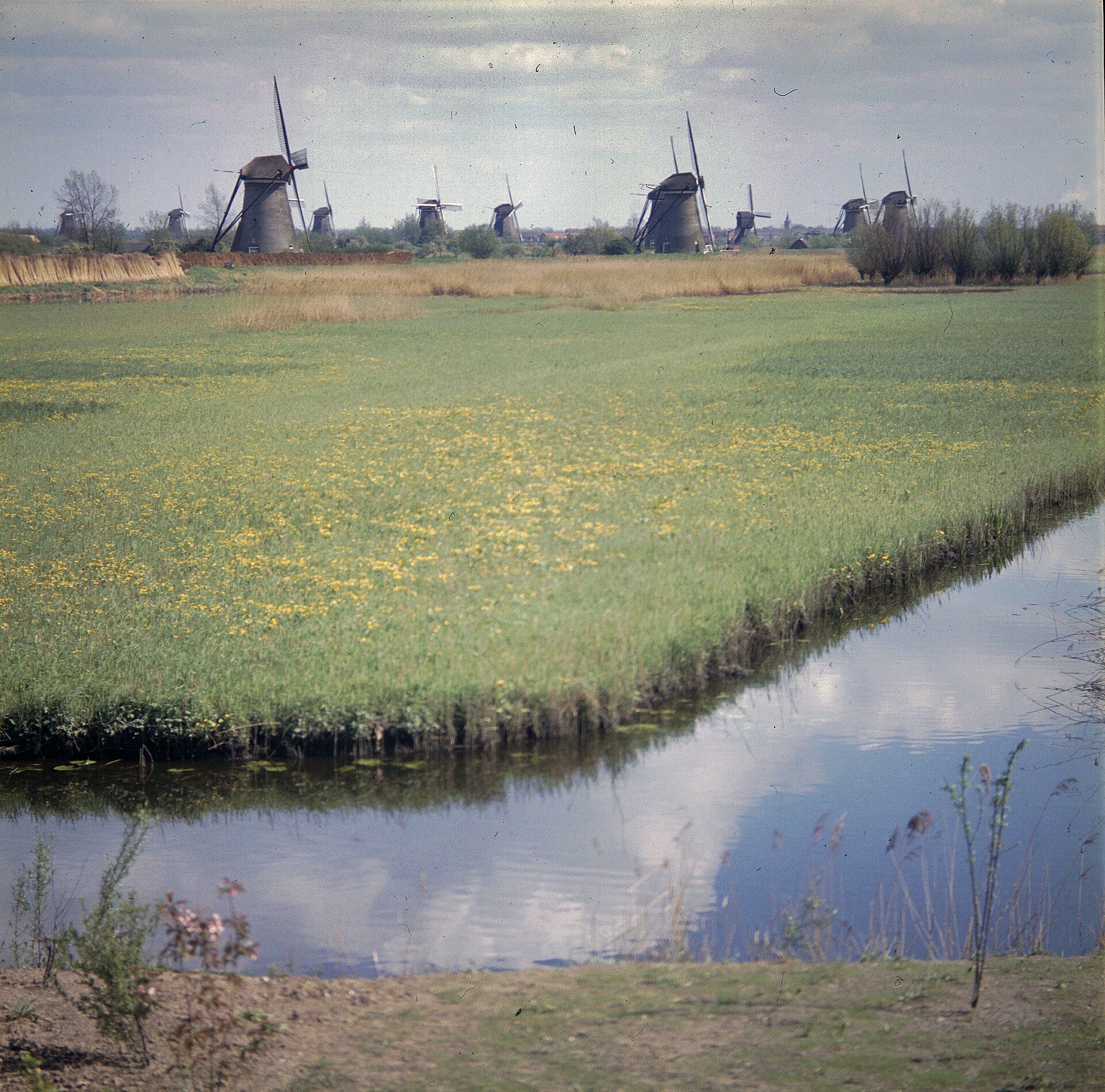 Poldermolens in het landschap